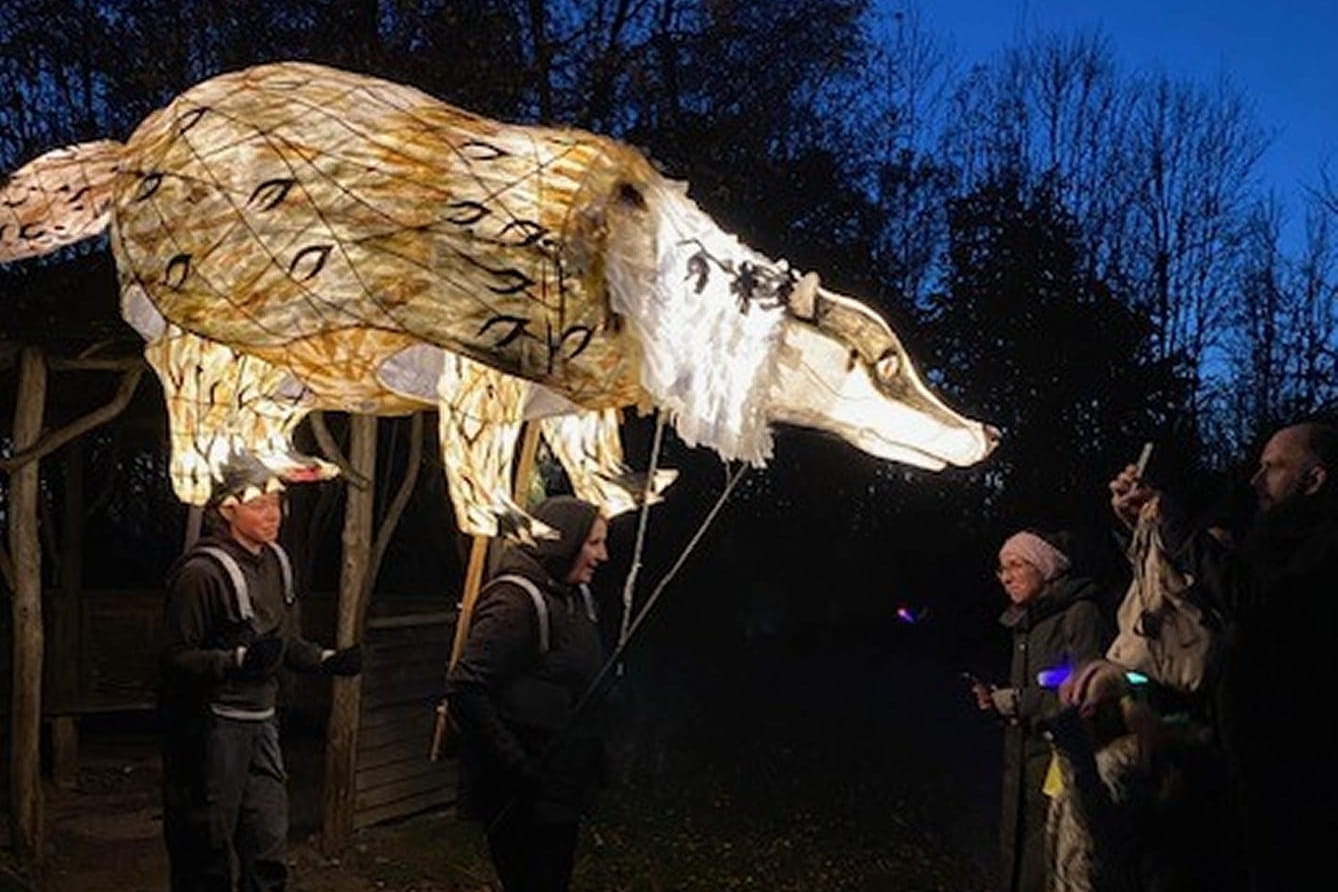 Handmade Productions - Badger meets audience